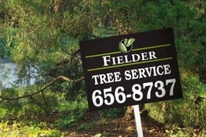 Fielder Tree Service Yard Sign